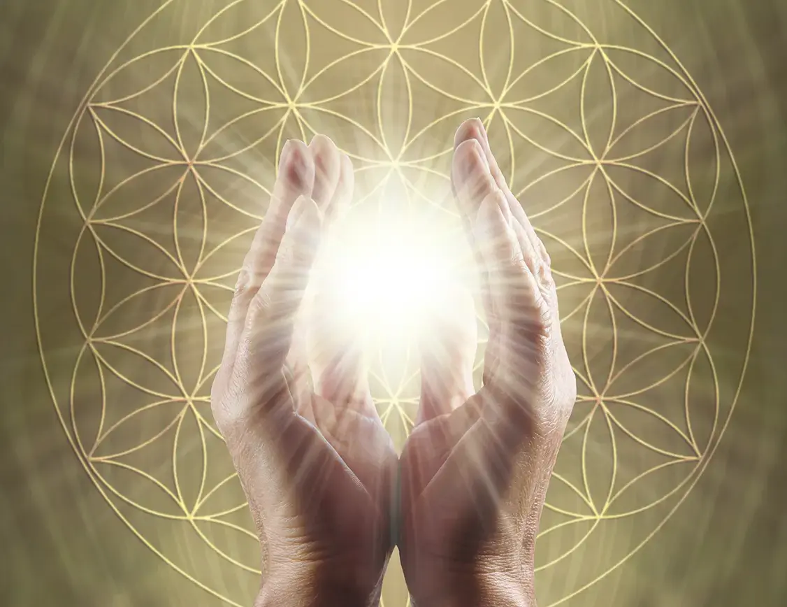 shutterstock_2290112791